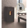 PACK POÊLE À GRANULÉS LINA 8 KW + VENTOUSE INTERSTOVES