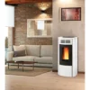 Terry Plus 12,1kw étanche Canalisable - Poêle à Granulés LA NORDICA EXTRAFLAME