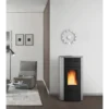 Raffaella Idro H15 - 18.1 KW - Hydraulique - Poêle à Granulés LA NORDICA EXTRAFLAME